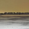 100201_散積雪12