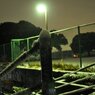 100201_散積雪18