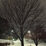 100201_散積雪28