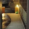 100201_散積雪33