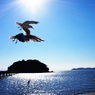 空渡る