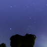夜の干支門
