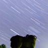 夜の干支門　グルグル