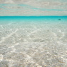 与論島 百合が浜の水中写真