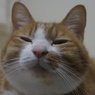 おやつまだ?