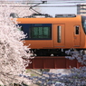 2年前　今年も楽しみ
