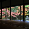 遍界なう