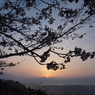 天ヶ城定点撮影 (2015/3/30早朝)