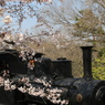 桜汽車