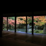 光の帝国なう