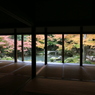 光の帝国Ⅱなう