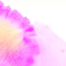 花びら
