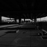 SK8
