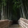 竹林の道(化野・念仏寺)