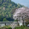 桜のある風景4