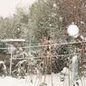 雪3