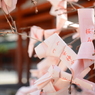 平安神宮も桜が満開です。