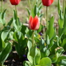 20150404 1