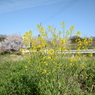 20150404 3