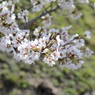 20150404 4