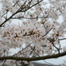 20150404 6