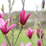 20150404 7