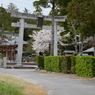 20150404 8
