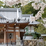 20150404 10