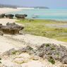 与論島　シーマンズビーチから