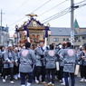 藤若　神輿が来たぞ！①
