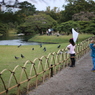 私は鳩、僕は空