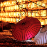 夜桜☆岐阜和傘２