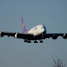 到着 THAI A380-841 