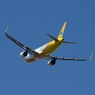飛び立ち  SEBU A320-214