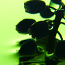 all green
