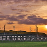 ドクターイエローとの遭遇３２（夕景）