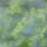 緑の季節