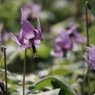 P4025566