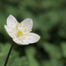 P4025574