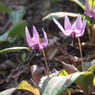 P4025605
