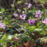 P4025617
