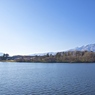 小岩井