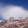 白い空、白い城