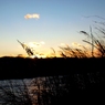 Tamagawa River in Winter 2