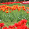 馬見丘陵公園