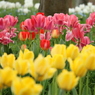 馬見丘陵公園