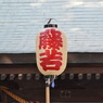 藤若堤燈（小祭）