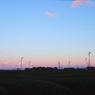 茶畑の夕暮れ