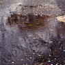 雨