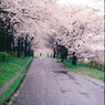 雨の公園3